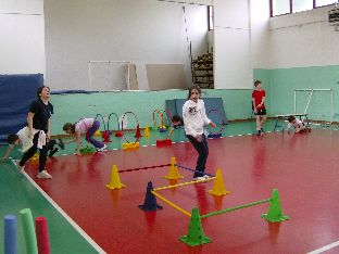 palestra