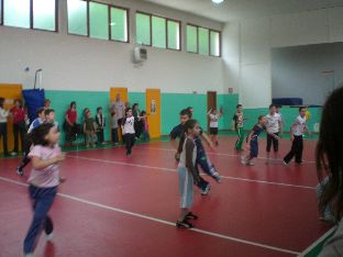 palestra